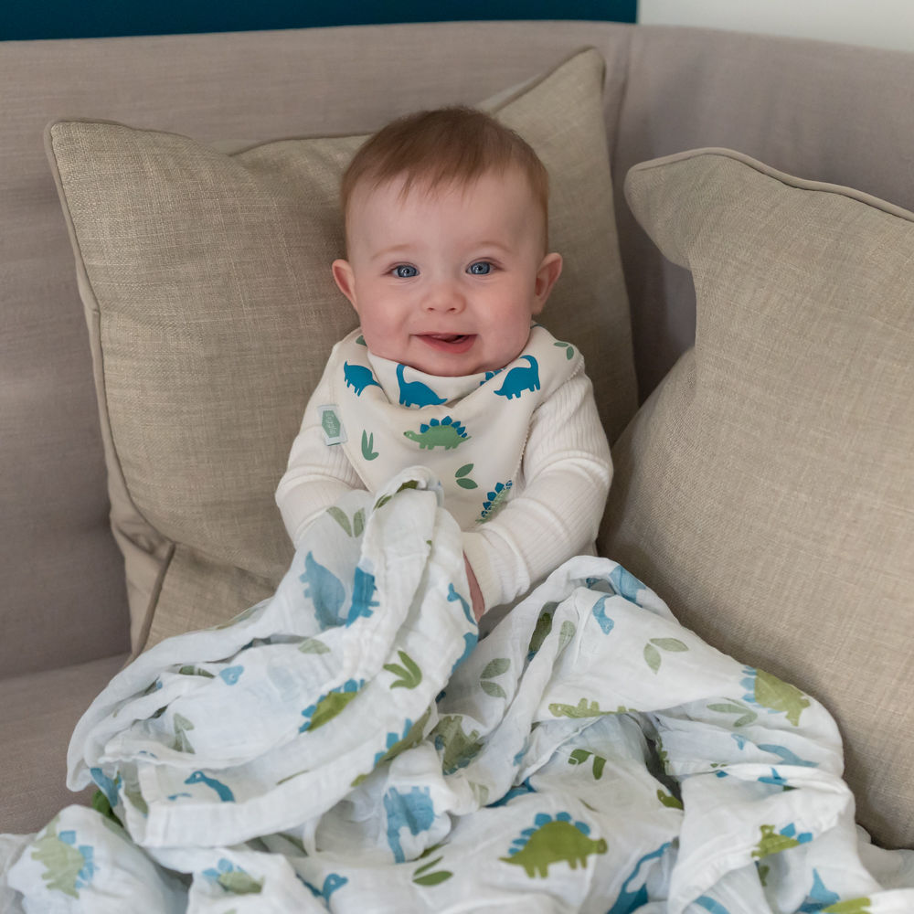 Dinosaurs Swaddle - Image 6