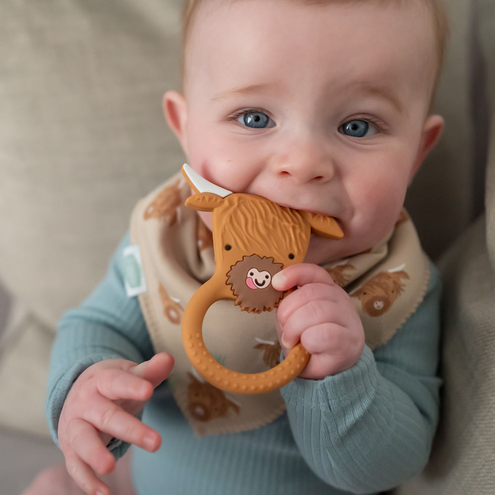 Highland Cow print bib - Image 3