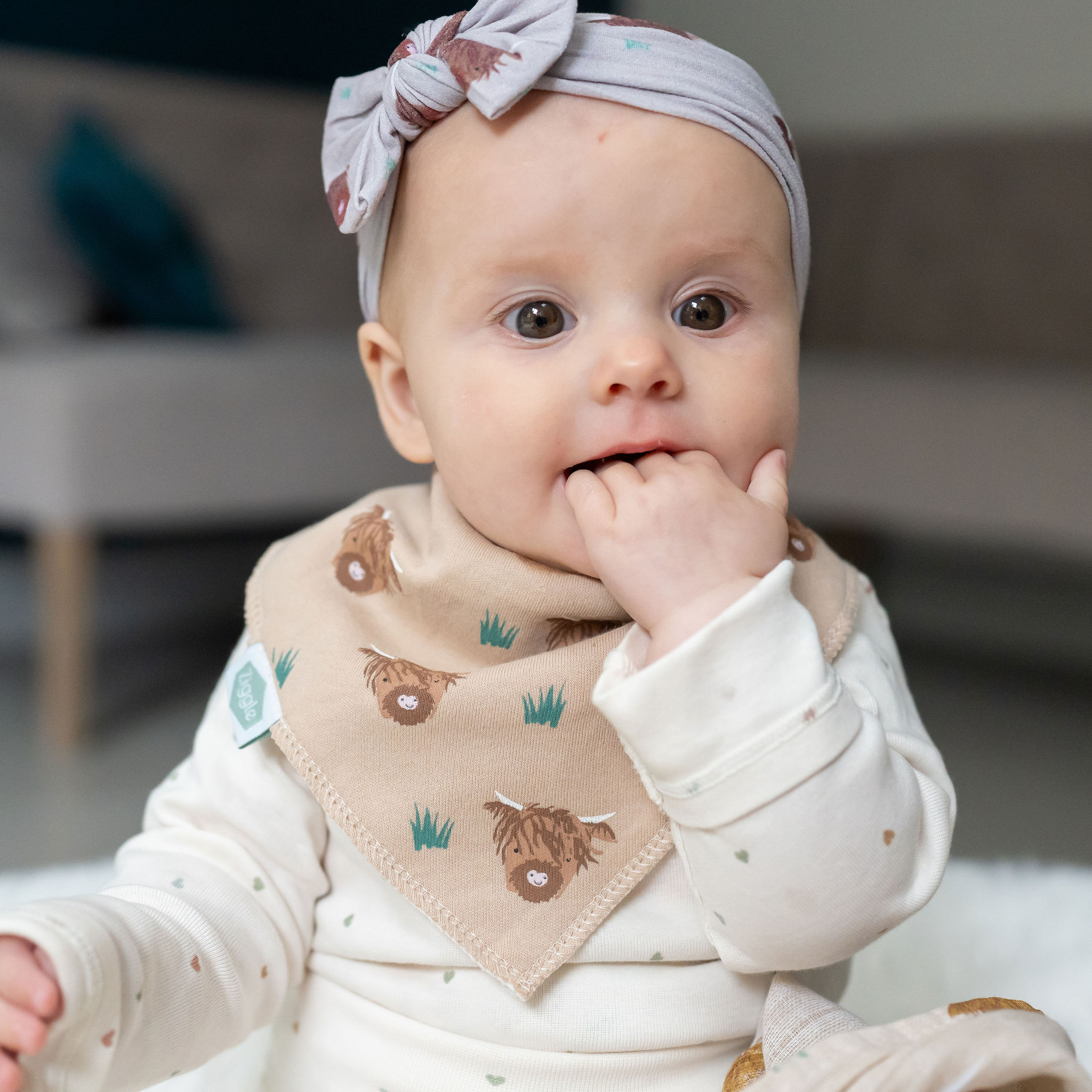 Highland Cow print bib - Image 7