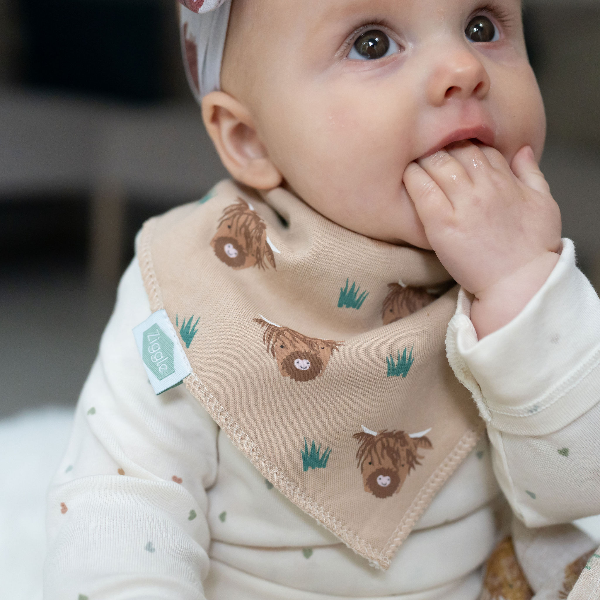 Highland Cow print bib - Image 6