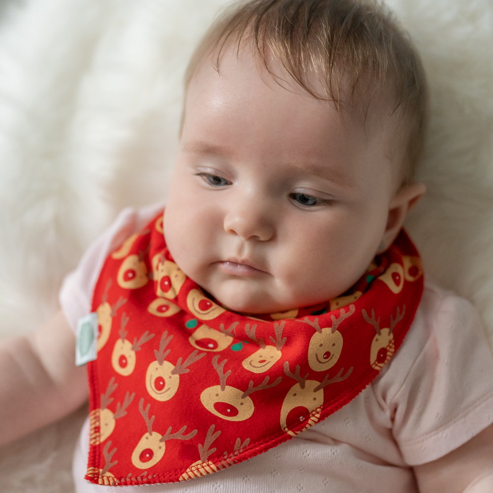 Christmas Reds Bib Set - Image 10