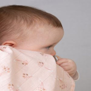 Muslins, Swaddles, Washcloths