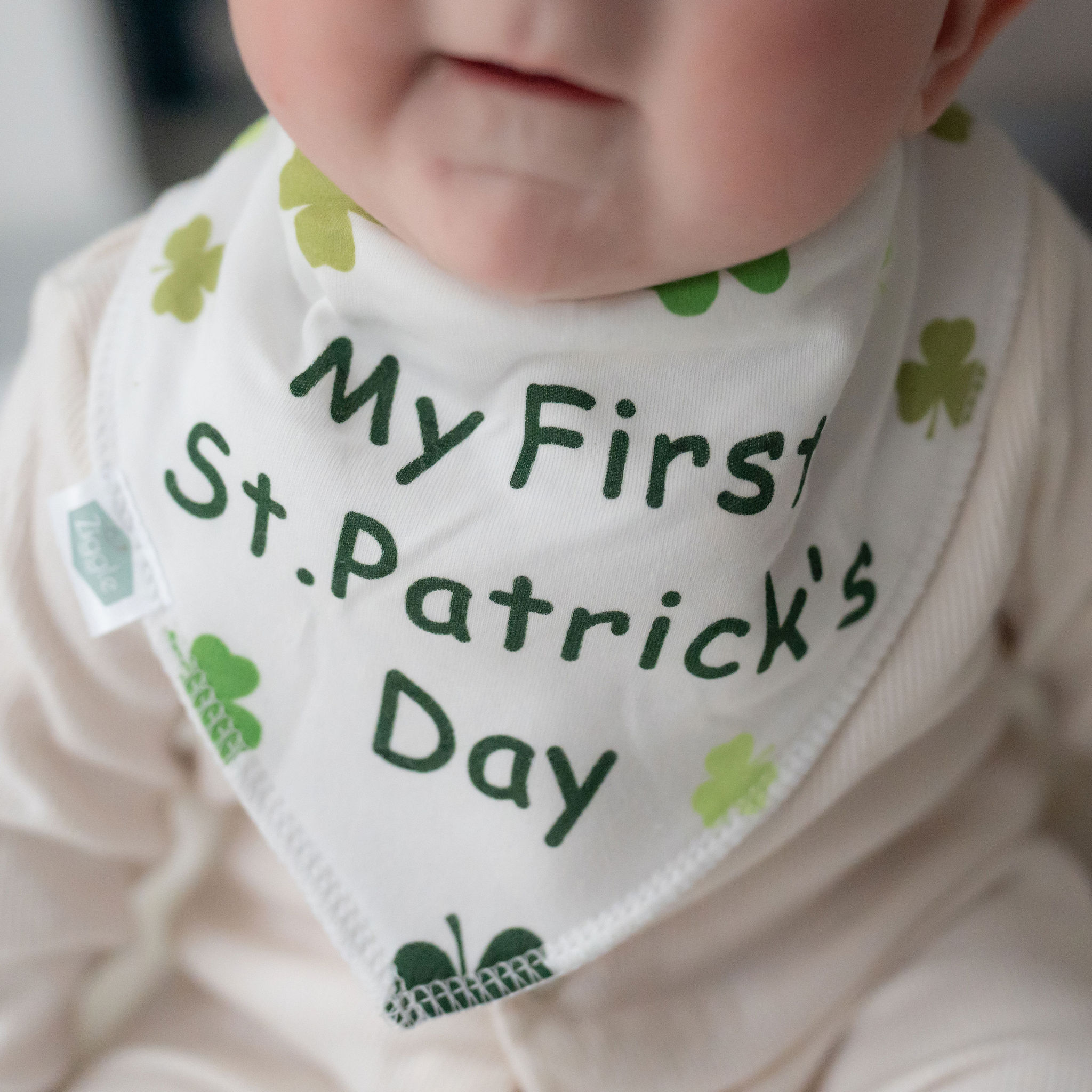 St Patricks Day Bib - Image 5