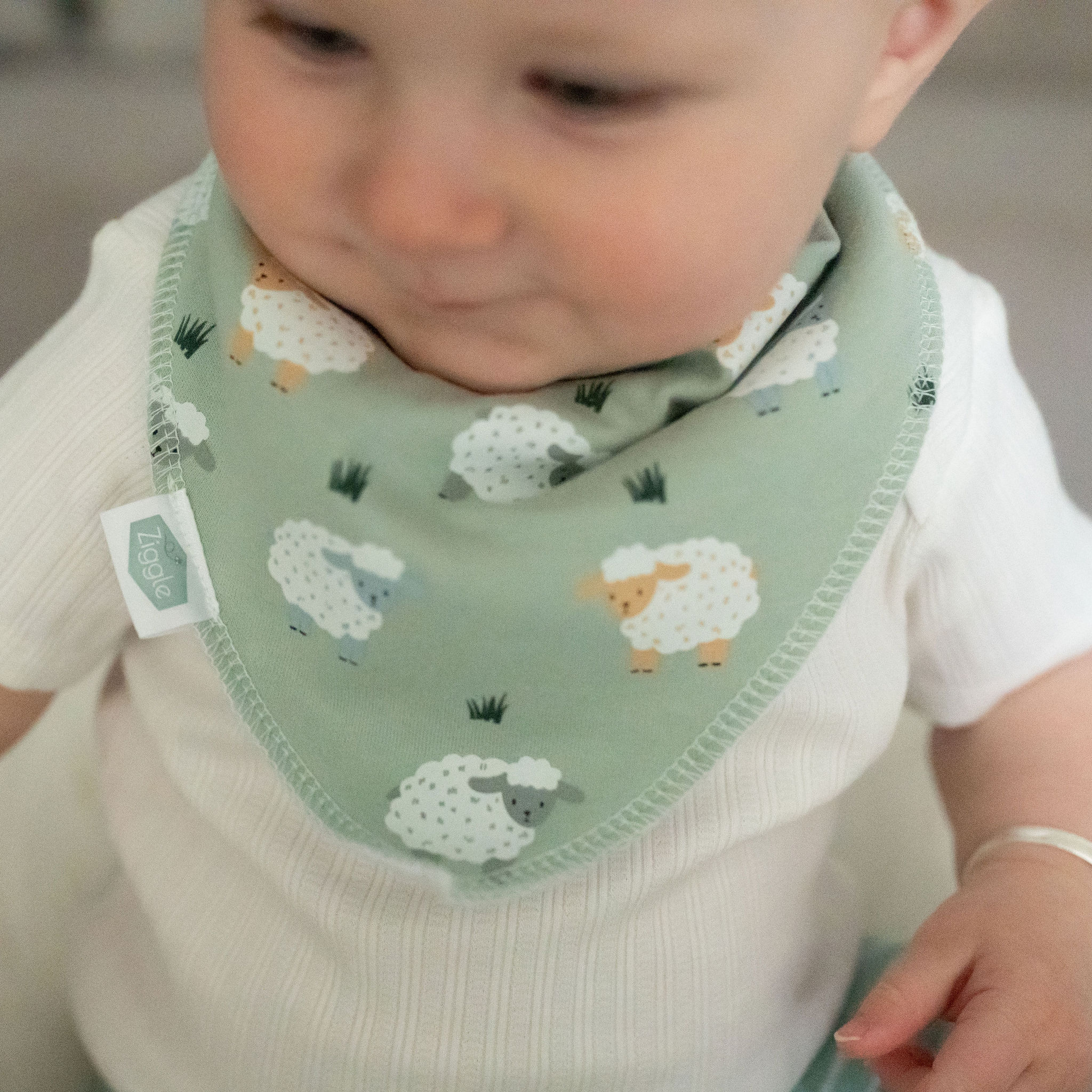 Sheep and grasses Bib - Image 5