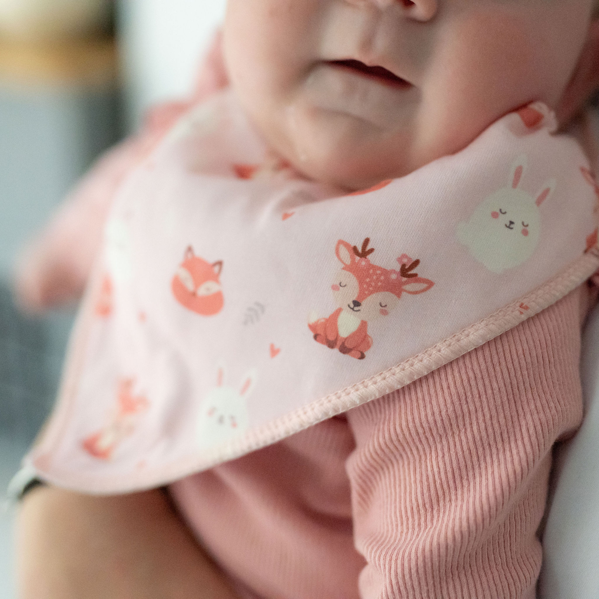 Dream woodland animals dribble bib - Image 4