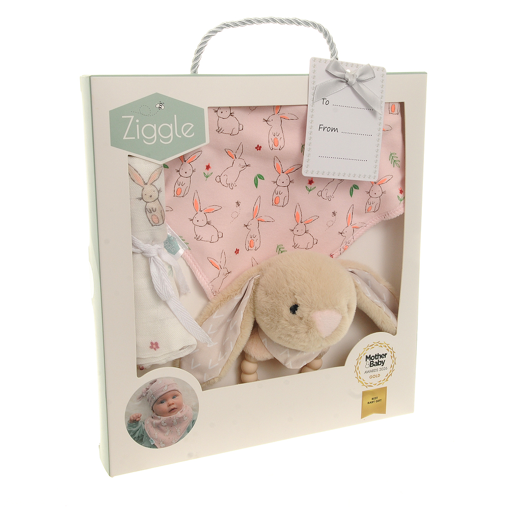 Gift set: Bib Rattle Washcloth Bunnies