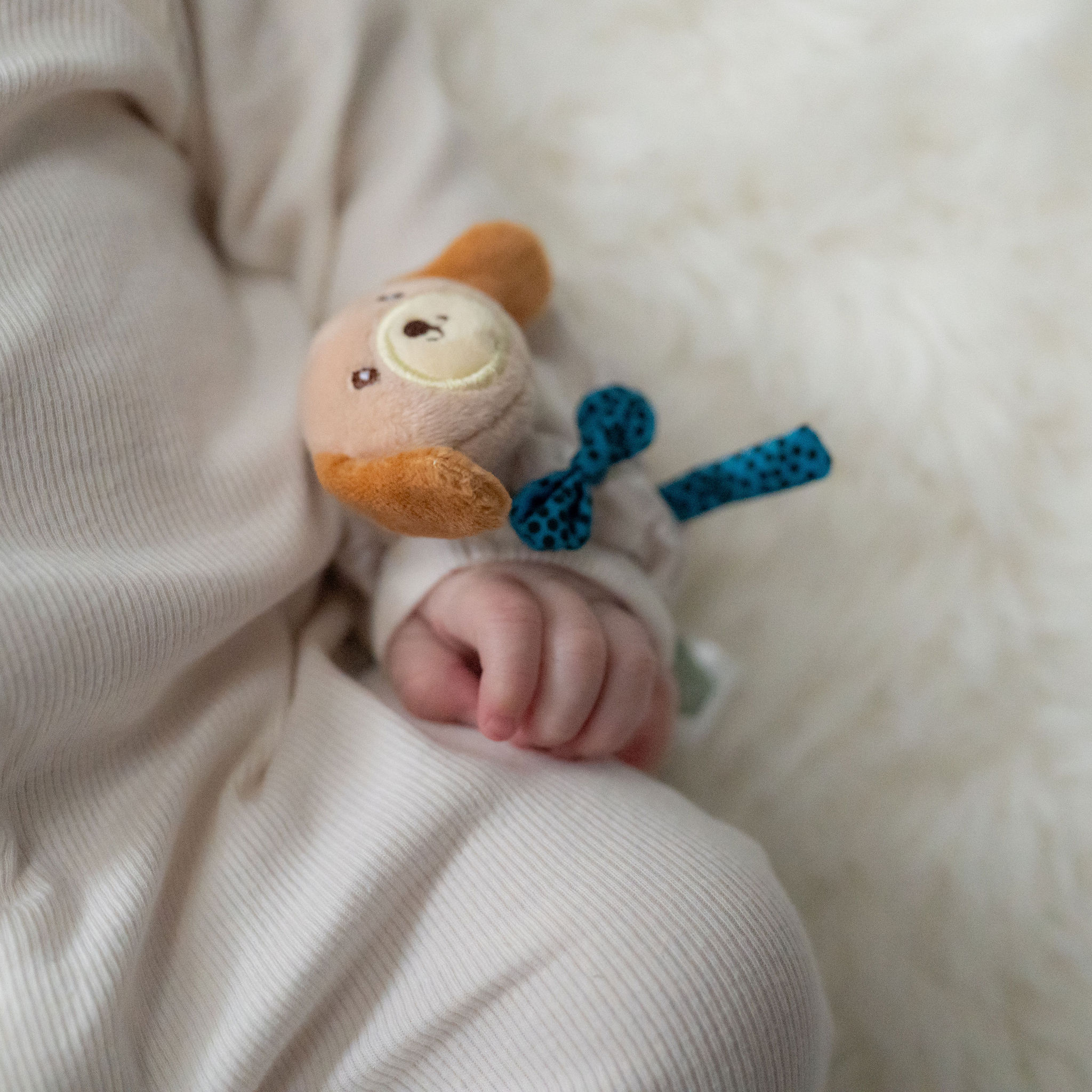 Plush Dino and Cockapoo Wrist Rattles - Image 3