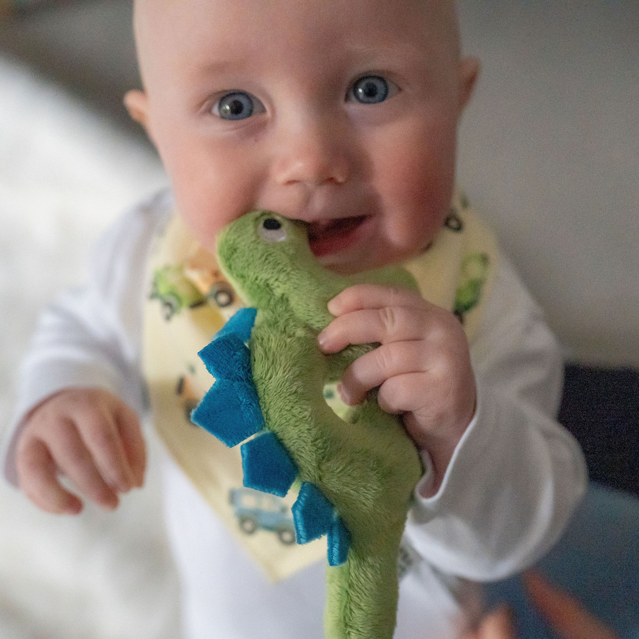 Dino Plush Baby Rattle - Image 2