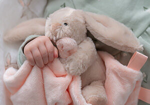 Comforter Blankets