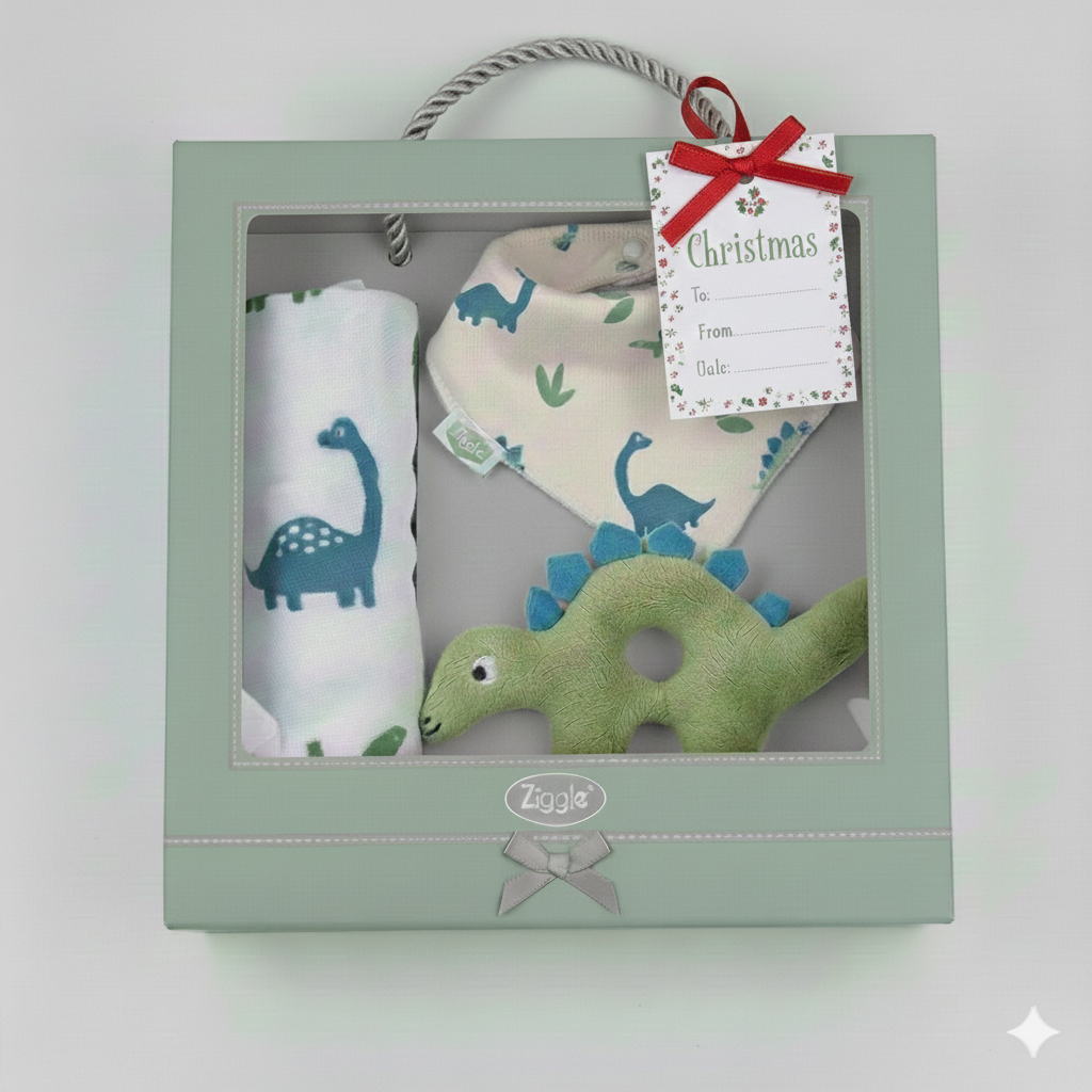 Gift set: Bib, Rattle, Washcloth Dino