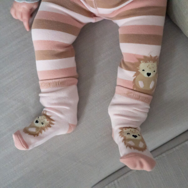 Hedgehog Leggings and Socks Set - Image 6