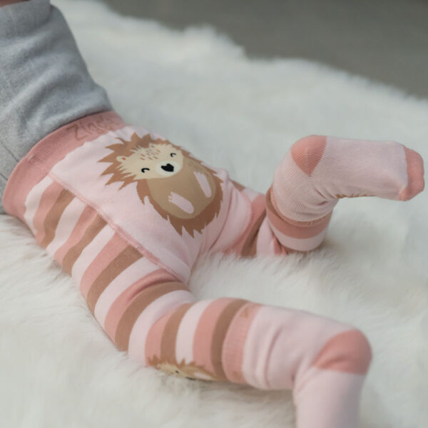 Hedgehog Leggings and Socks Set - Image 8