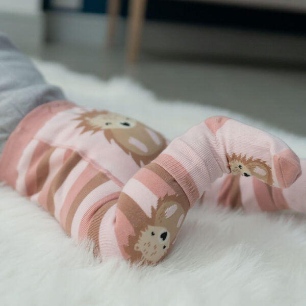 Hedgehog Leggings and Socks Set - Image 11