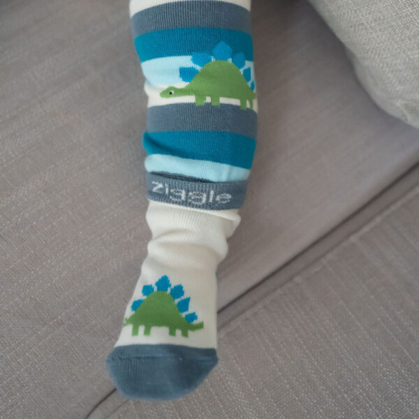 Dinosaur Boxed Sock Set - Image 5