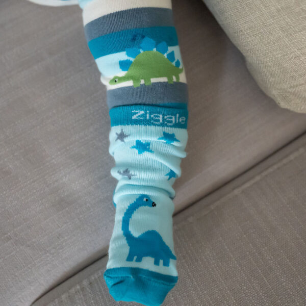 Dinosaur Boxed Sock Set - Image 4