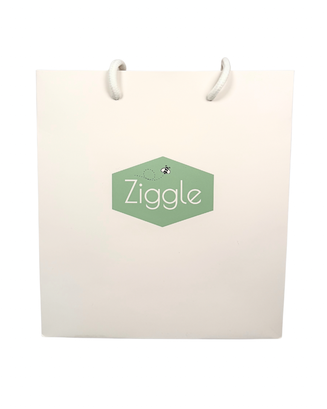 Gift Bags (Medium Size, Pack of 10)