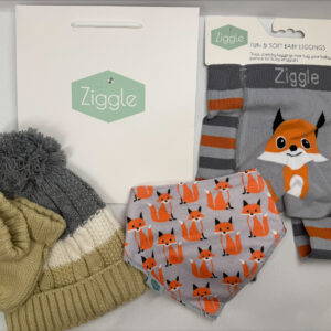 Fox Gift Bag Bundle 6-12m - 30% off